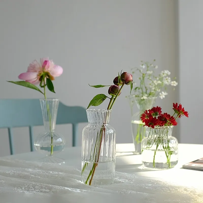 Vases en verre transparent pour bouteille de plante Pot de fleur nordique créatif hydroponique Terrarium arrangement conteneur fleur Table Vase 220527