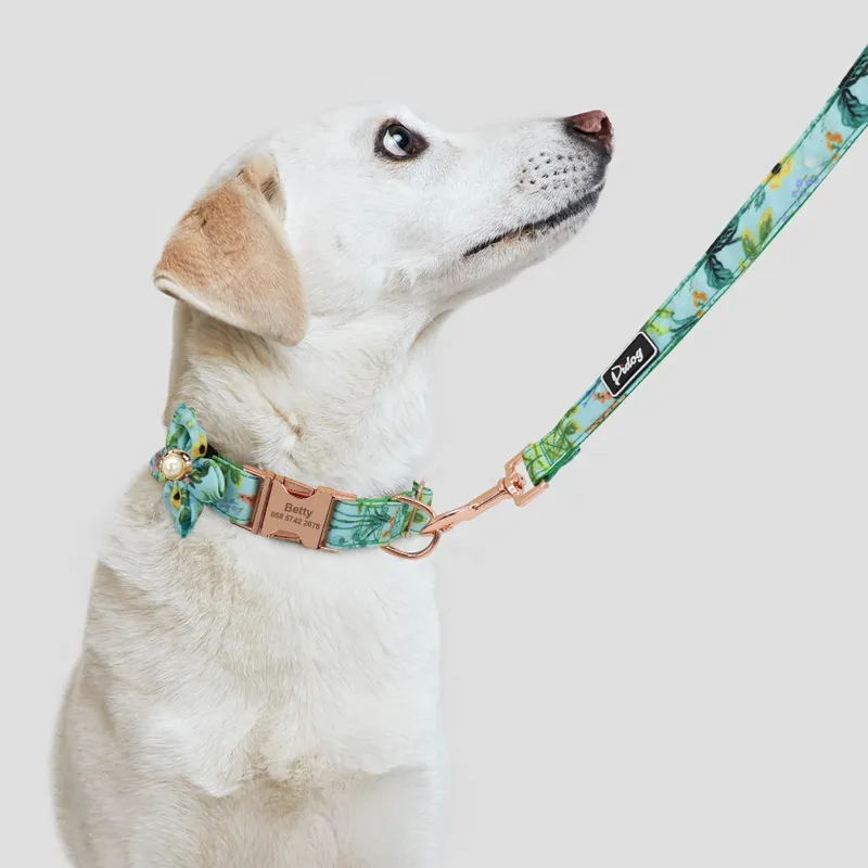 Coloque de cão de cão personalizado colarinho de nylon colarinho de cães personalizados colarinhos de flores com flor fofa para cães pequenos médios grandes 220608