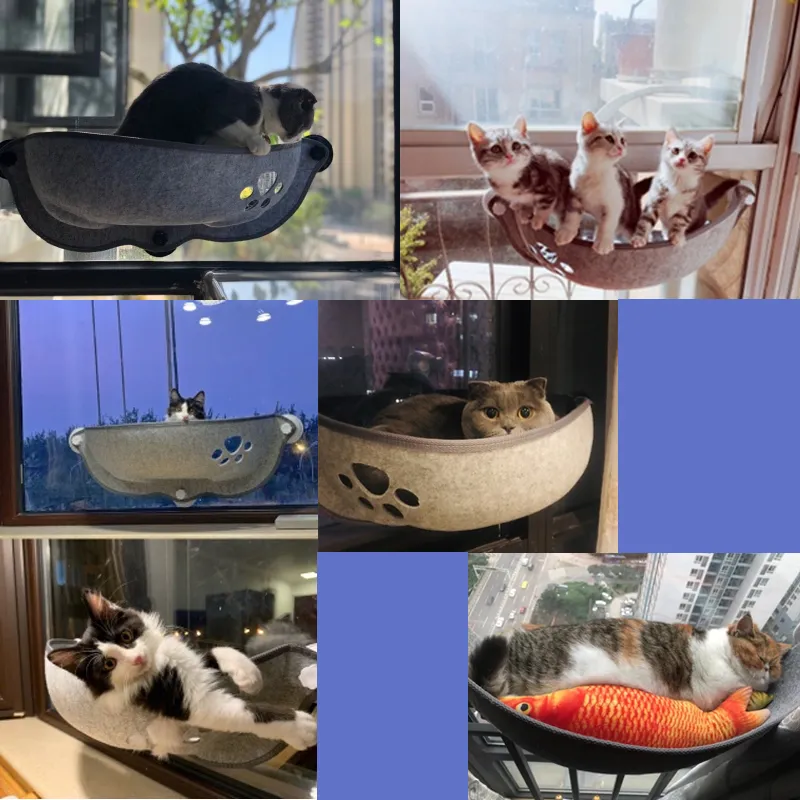 بيع الحيوانات الأليفة أرجوحة أسرة تحمل 20 كيلوجرام القط نافذة المتسكع شفط الرف مريحة النمس السرير 220323
