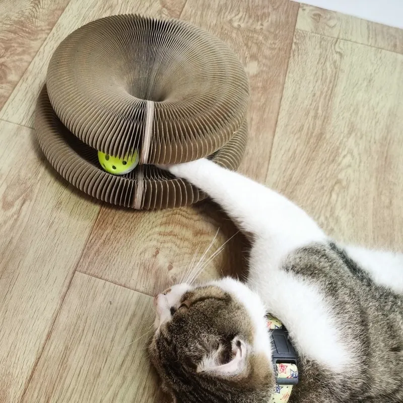 Jouet de planche à gratter pour chat, orgue magique, avec cloche, griffe de meulage, cadre d'escalade, lit de salon, 220423