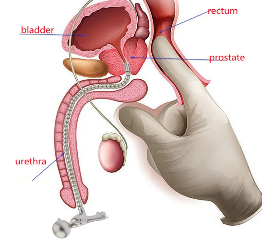 Zabawki cewki cewki ze stali nierdzewnej dla mężczyzn oko konne penis stymuluje rozszerzanie wtyczki cewki moczowej samca mastuburator uretra intymna zabawka