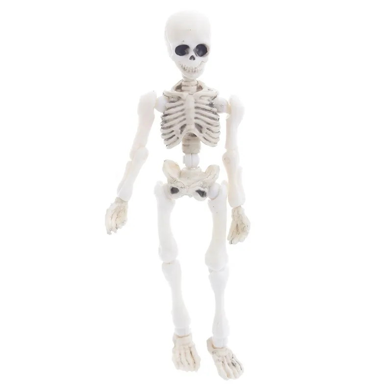 Halloween Toys Bewegliches Mr Bones Skelett Menschliches Modell Schädel Ganzkörper Minifigur 2208233089442