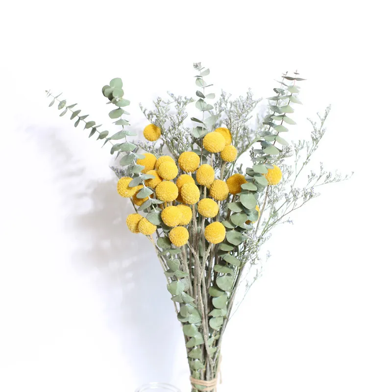 1 مجموعة الطبيعية المجففة الجبسوفيلا eucalyptus الذهبي الكرة محفوظة حقيقية زهرة الجافة للمنزل حفل زفاف الديكور اكسسوارات