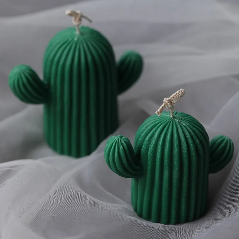 Mini Mirror Cactus mögel för handgjorda skrivbordsdekoration Gypsum Epoxy harts Aromaterapi Candle Silicone Mold 220629