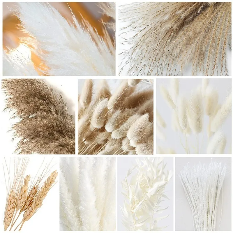 herbe de pampas séchée naturelle, décor boho y herbe pompeuse blanche grande roseau de baptide blé de blé de blé décoratif 2204087930066