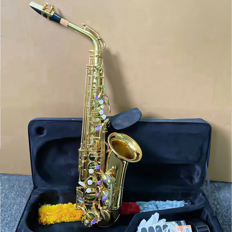 Saxophone Alto professionnel Gold Ed, en laiton plaqué or, électrophorèse européenne, processus doré, instrument de jazz flat-e tune SAX