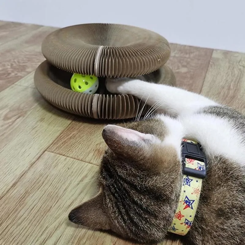 Toy Bell Ball Pet Tedarik Yavru Kedi Toyu Oyuncak Katlanır Oluklu Kediler Yuva Sihirli Organ Kediler Kırılma Kurulu 220510