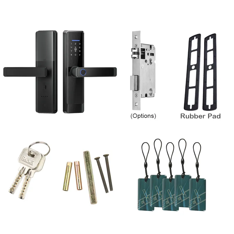 MODE L1 Smart Door Lock WiFi Tuya APPPRIMENT IMPRIMENT DIGIT Intelligence Electric 5 Méthode de déverrouillage Support 8 Langue voix 220704