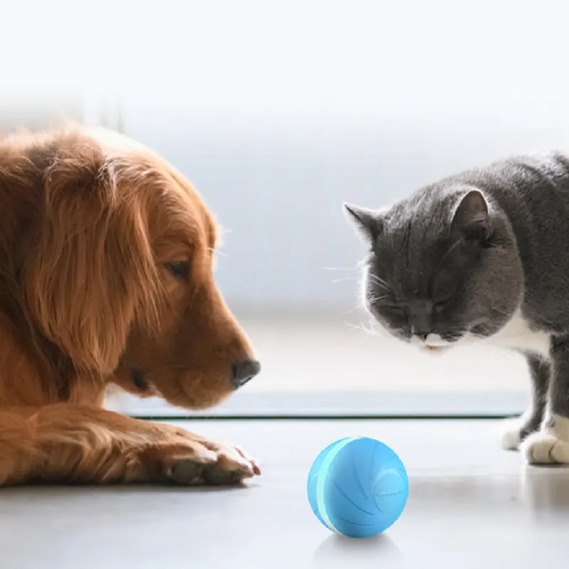 Cheerble Pet Toy Wickedball 100% Automatic Jump Ball Smart Teaser Giocattoli cani e gatti Resistente al morso 220510