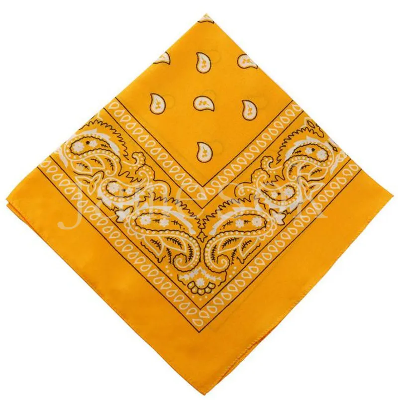 Handkerchief polyester Novelty Double Sided Print Paisley Bandanas  Bandana Handkerchiefs Paisley Print Head Wrap Scarf DE687