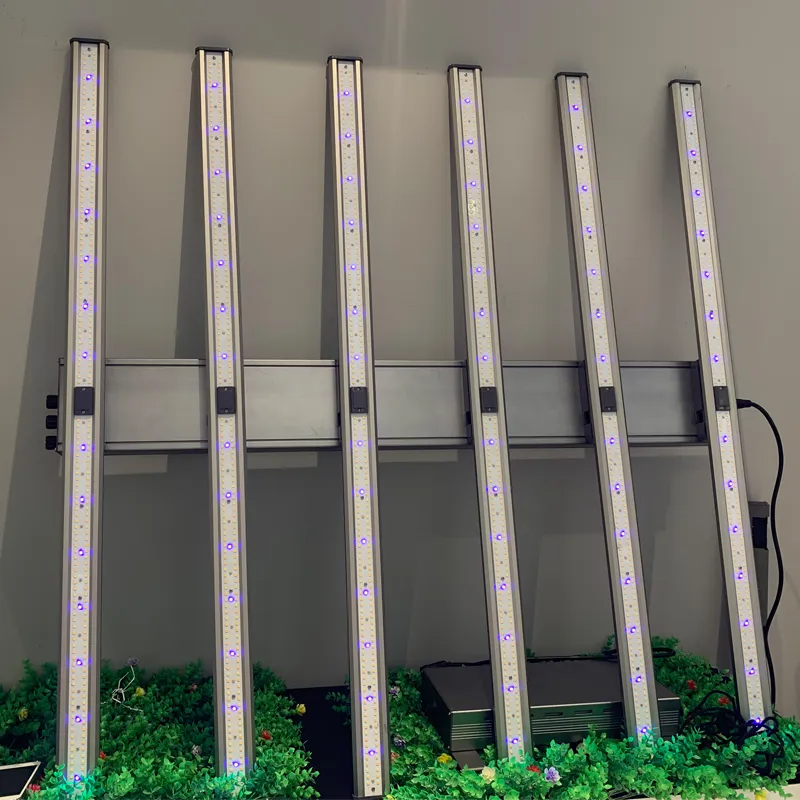 LED élèvent la lumière spectre complet Samsung281B pour les plantes médicales à effet de serre phytolampe hydroponique d'intérieur professionnelle Lighting2403