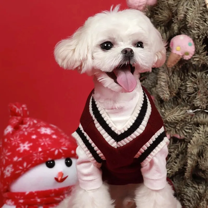 Hondenkat trui preppy stijl v-neck gestreepte vest puppy puppy winter warme kleding apperal voor honden katten xs-5xl