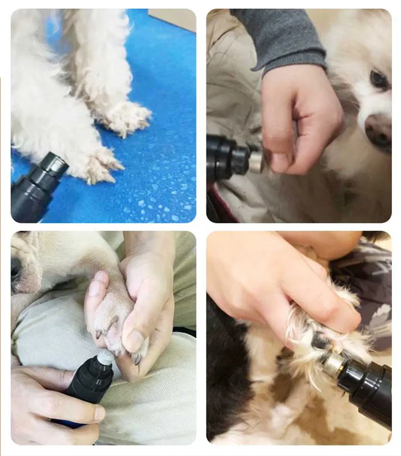 الكلب الكلب الكلب الكليف من الكلب الكلب مطاحن الأظافر مع إعادة شحن USB شحن الحيوانات الأليفة الهادئة Cat Paws الأظافر أدوات تقليم c0627zr04