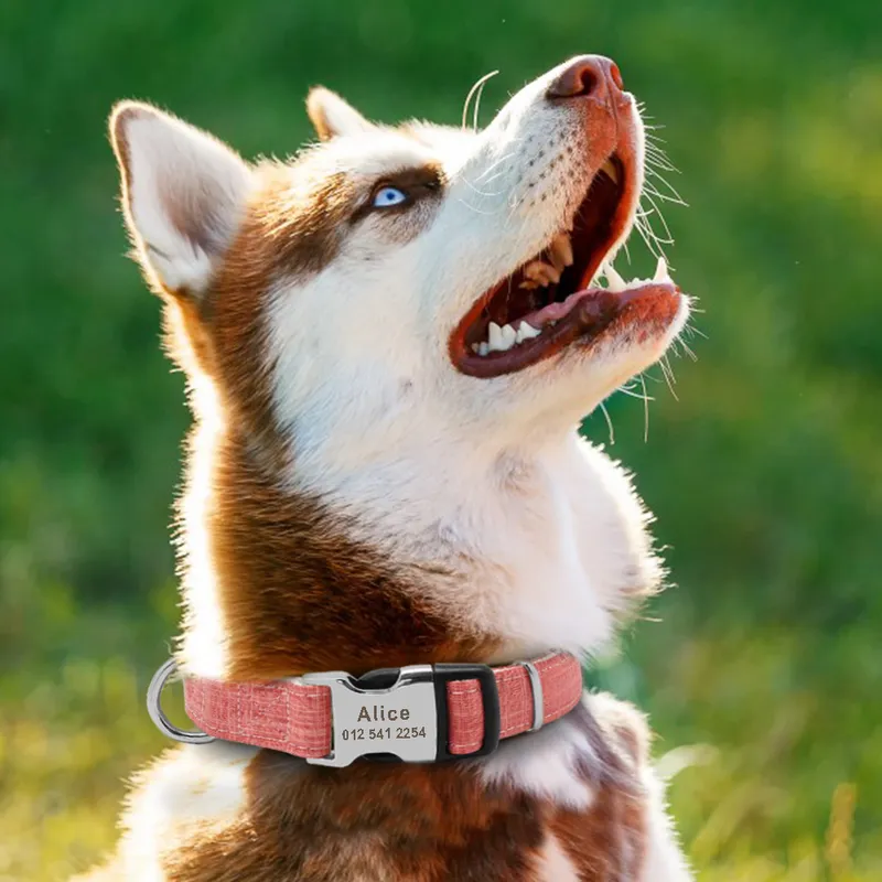 Modisches personalisiertes Hundehalsband aus Nylon mit graviertem Namen, Hundehalsbänder, individuelles Hundehalsband für Welpen, ID-Tag für kleine, mittelgroße und große große Hunde 220610