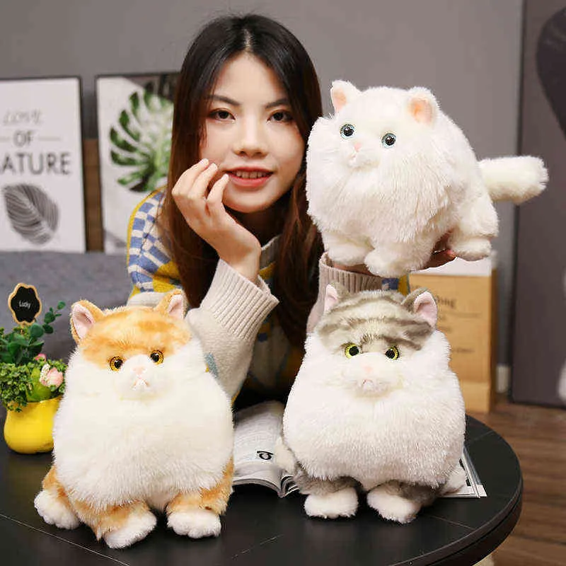 Cats de gatos realçados simulação cheia de gato boneca de gato de gato real Toys de animais de estimação Decoração de aniversário Presente de aniversário para meninas bebês j220704