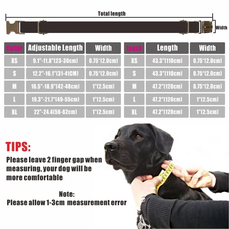 Personlig hundkrage Anpassade husdjurskrage Gratis gravering ID -namn Tagga PET Tillbehör Multi Velvet Puppy Collar Leash Set 220610