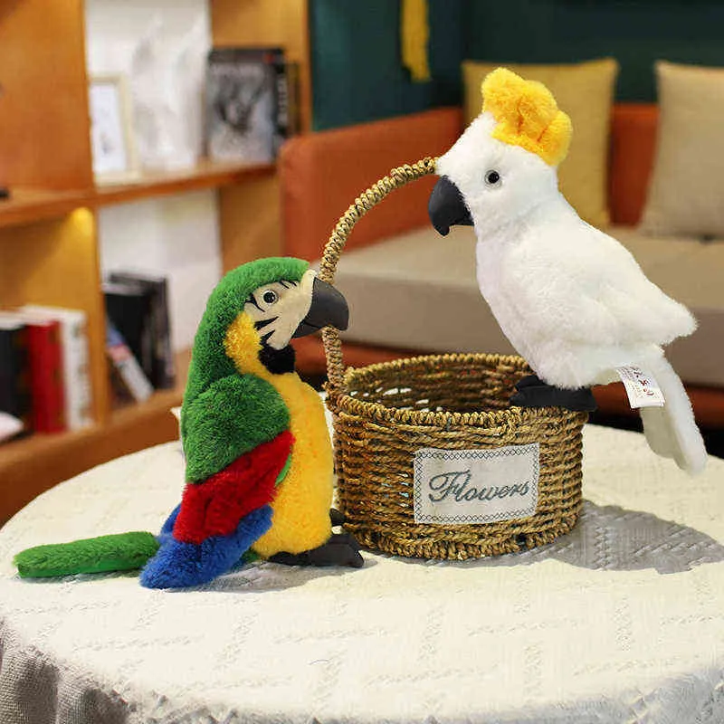 cm Reallife Parrot Bird Bird Plush 장난감 귀여운 시뮬레이션 포옹 인형 홈 자동차 정원 장식 아이를위한 성인 J220704
