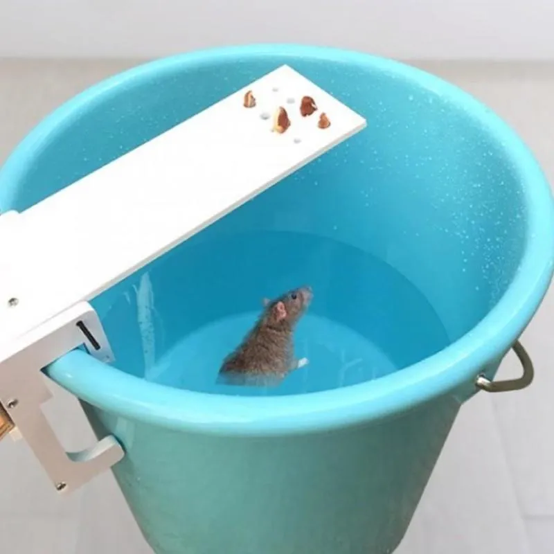 DIY домашний садовый контроллер вредителей ловушка для крыс быстрое убийство качели ловушка для мышей ловушки для мышей 220602