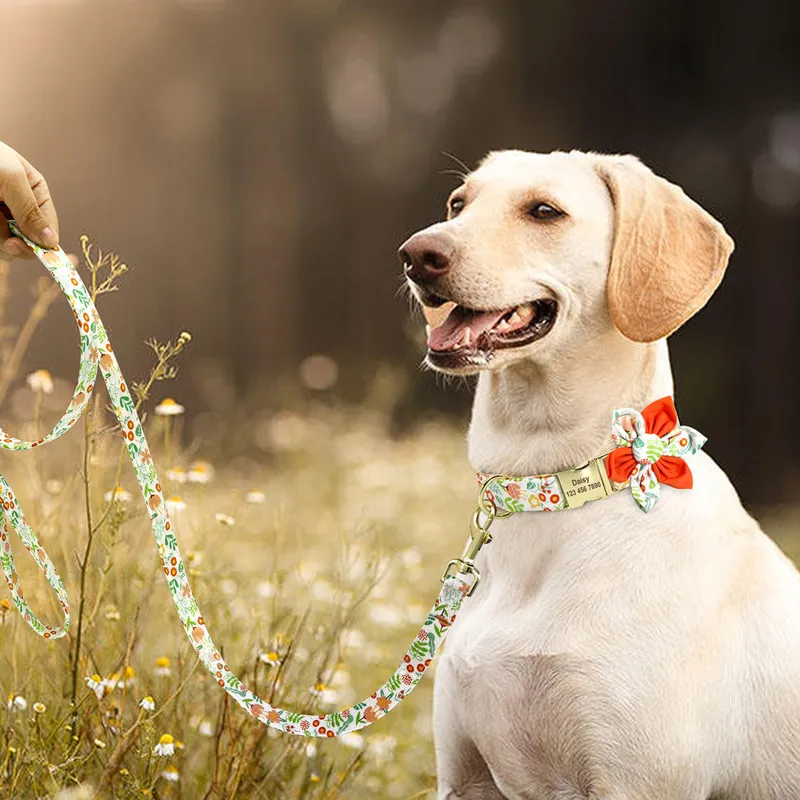 Ensemble collier et laisse de chien gravé gratuit Colliers de fleurs pour animaux de compagnie en nylon personnalisés Corde de plomb de marche avec étiquette d'identification Accessoires de fleurs 220610