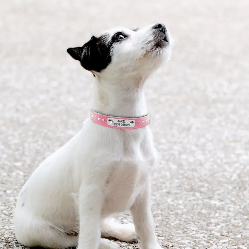 Personalisierte individuelle Lederhalsbänder, gepolstert, verstellbare Metallschnalle, Haustier-ID-Tags, Halsband mit Namensgravur für Hunde und Katzen 220622