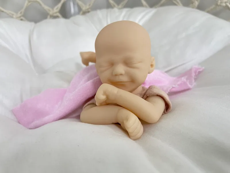 Mini Bebe Reborn Kit zane 9 