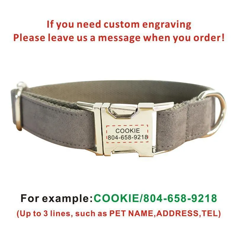 Kişiselleştirilmiş Köpek Yakası Özelleştirilmiş Pet Yemeği Ücretsiz Gravür Kimliği isim plakası Etiket Pet Aksesuar Çok Kadife Köpek Yavru Yaka Tasma Seti 220610