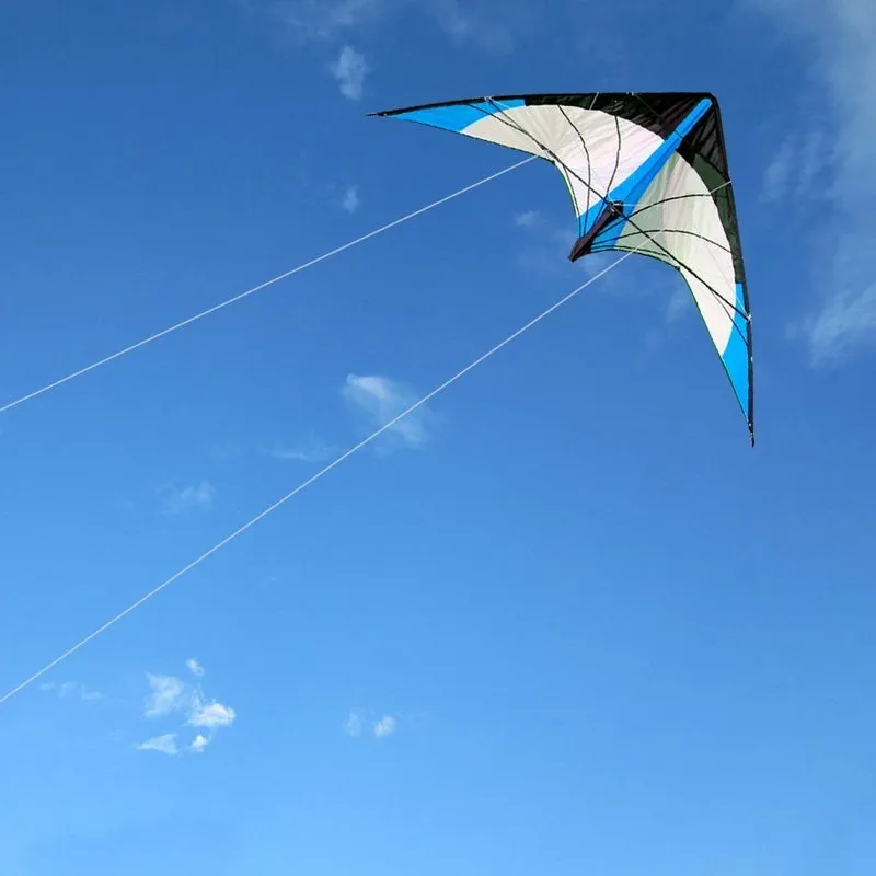 Спорт на открытом воздухе 48 72-дюймовые воздушные змеи с двумя линиями для взрослых Pwoer Kite с ручкой и линией Good Flying 220621