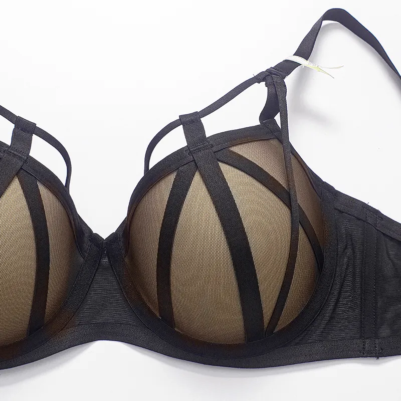 Seksi iç çamaşırı kadın sütyen seti push up strappy stil yastıklı bardak altlık 3 renk 220513