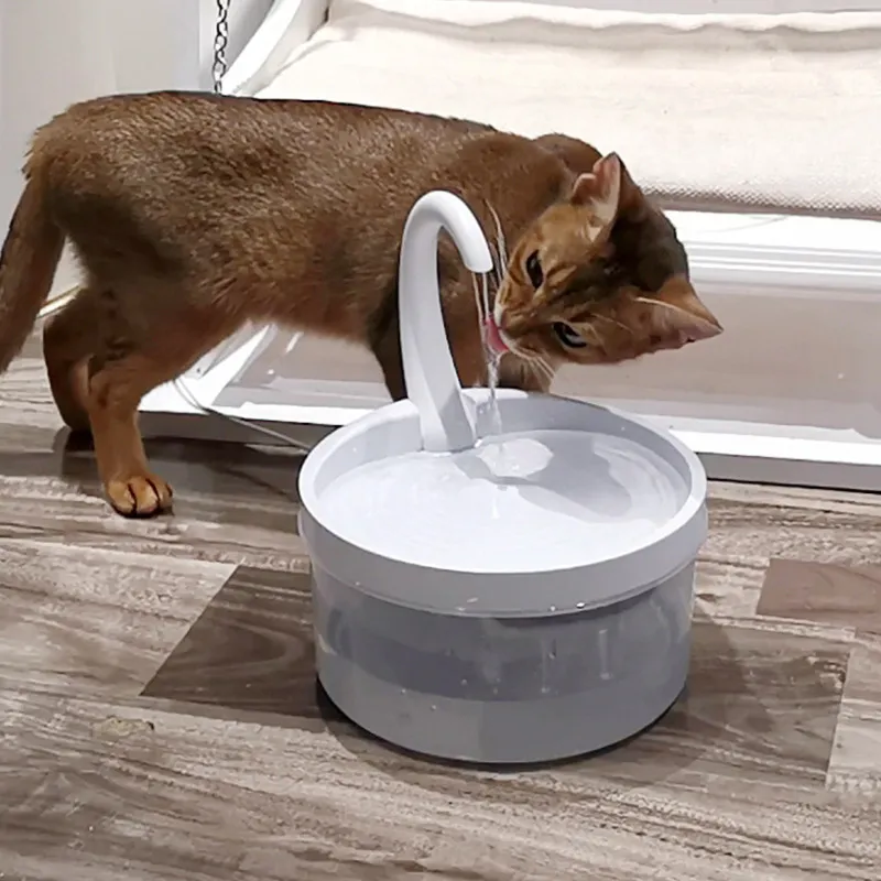 Abreuvoir automatique pour animaux de compagnie Distributeur de fontaine d'eau pour chat Abreuvoir pour chien avec lumière LED pour chiens s 220323