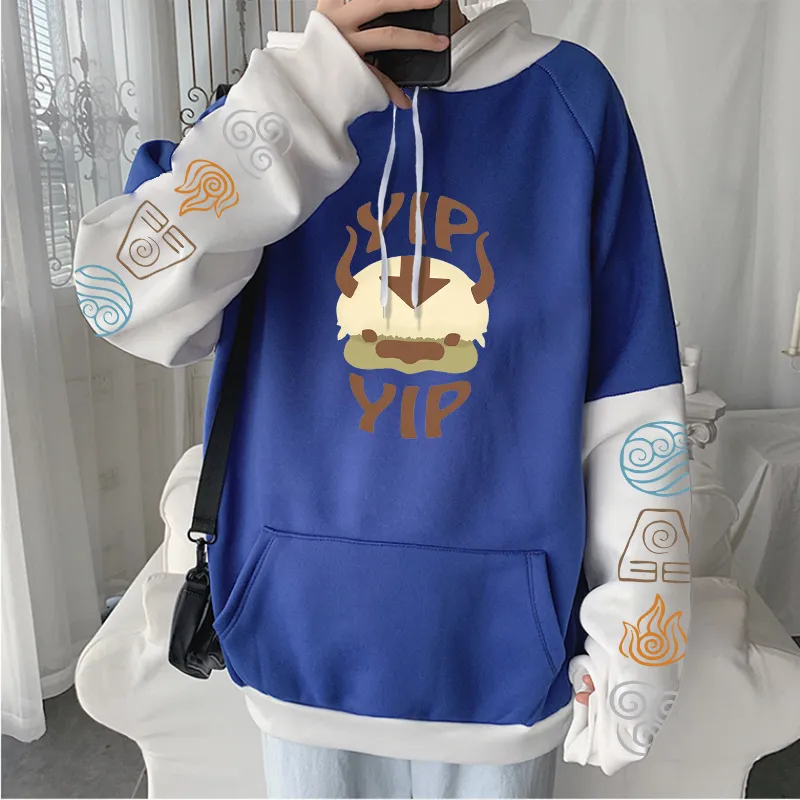 Erkek Hoodies Sweatshirts Kawaii Anime Avatar Appa Karikatür 220823