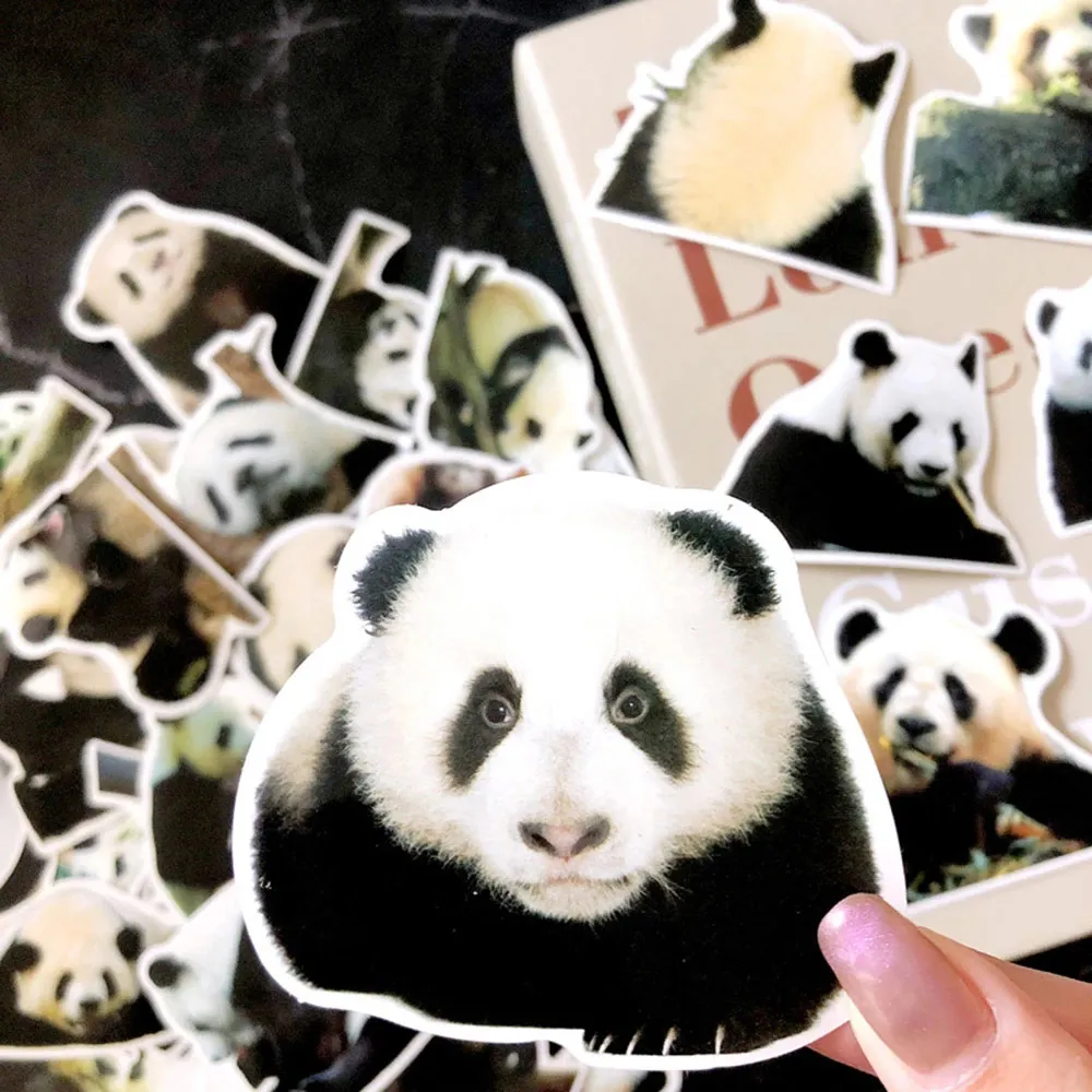 Водонепроницаемый 10/30 / 50шт милые животные Panda Graffiti наклейки мультфильм наклейки дети игрушка записок дневник ноутбук телефон Kawaii украшения наклейки автомобиля наклейка