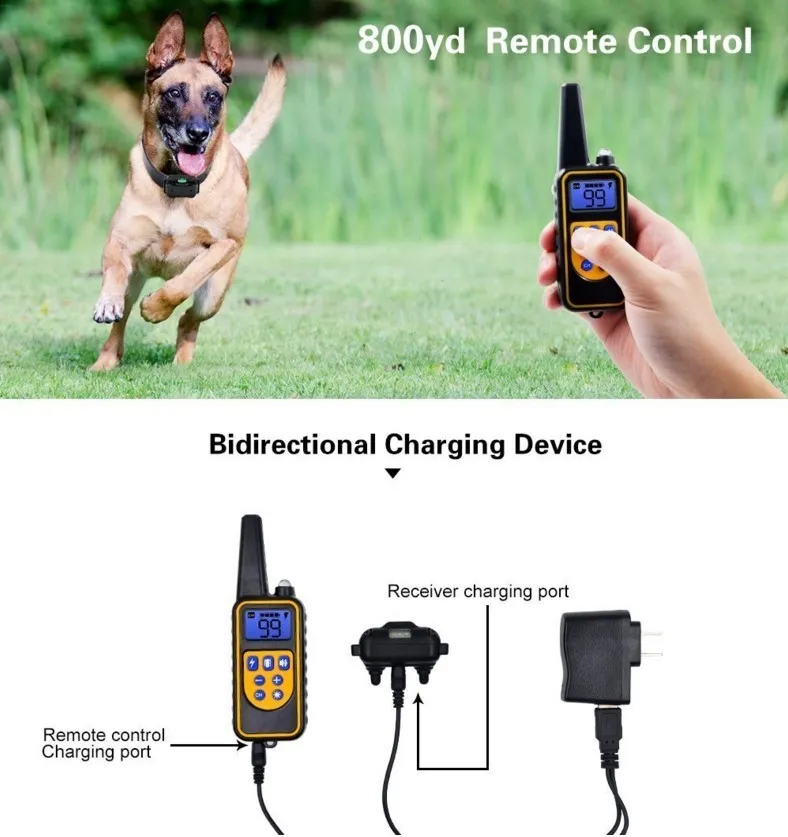 Collaggio di addestramento cani elettrici da 800 metri Waterproof Pet Control Control Collar cani addestramento ricaricabile con suoni di vibrazioni di shock 220524