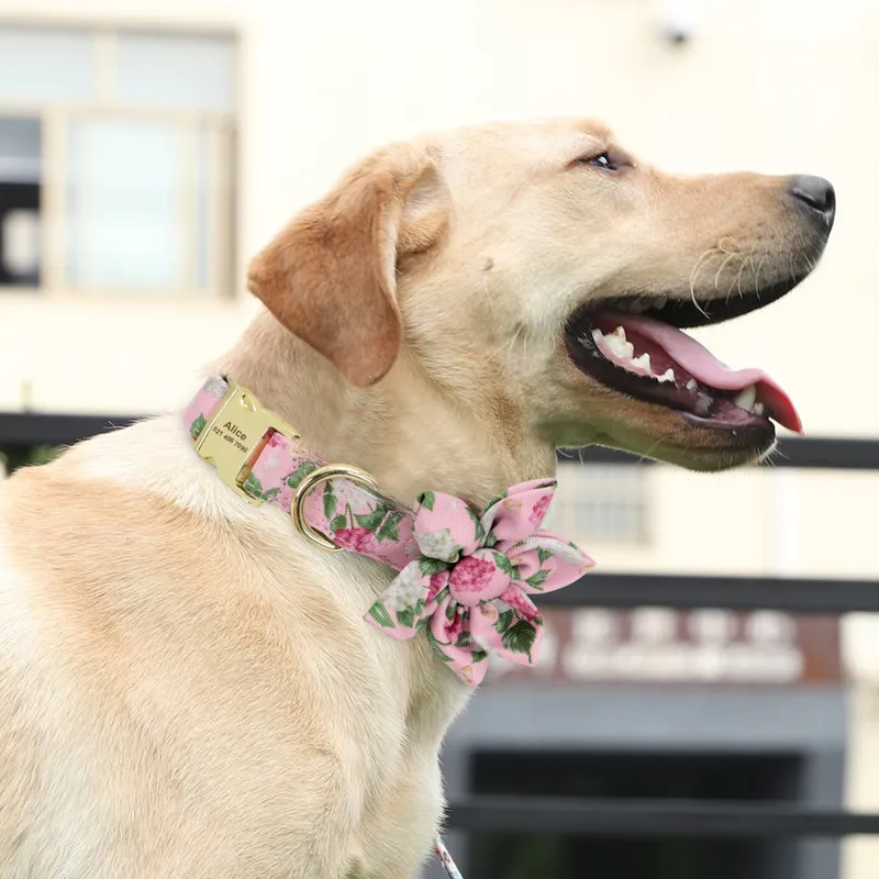 Hundezubehör Haustier-Welpen-Katzenhalsband Benutzerdefiniertes Nylon-Halsband mit bedrucktem Namensschild mit personalisierter Gravur ID-Tag-Halsbänder Kleine Hunde 220608