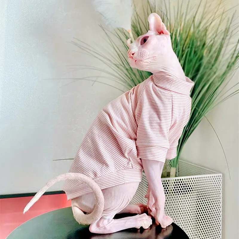 Pamuk sfenks kedi köpek kıyafetleri küçük köpek tüysüz kedi sweatshirt giyim şeritli evcil hayvan kostüm yavru kedi tulumları sonbahar kış 0622
