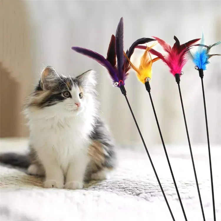 Home Cat toys Bell feathers Pet tease catsand tick interactive teasing Fishes deity to amuse the cats pole Feather toys Supplies ZC1037