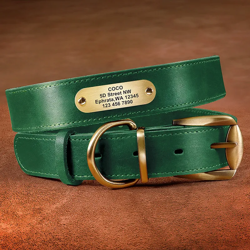 Real Leather Dog Collar Personlig PET -ID -krage Anpassad graverad tagg för små stora hundar Pitbull German Shepherd XXL 220610
