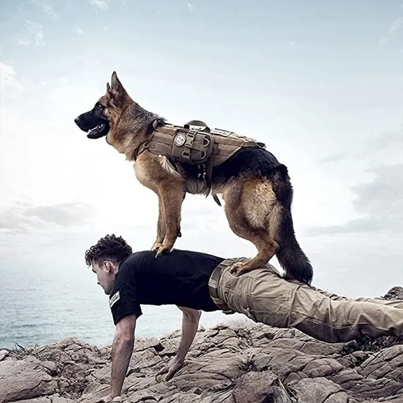 Taktyczne plecak plecak wiązka molnej molle k9vest no-pull rączka wygodna regulowana usługa treningowa na świeżym powietrzu łatwy spacer uprząż psa 22325y