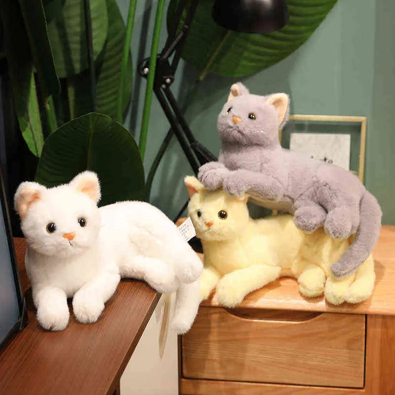 PC CM Simulation Cat Plush Toy Cute Hairy Hitten Dolls Lovation Anoy Toild for Children Girls Birthday Room Decor Gift J220704