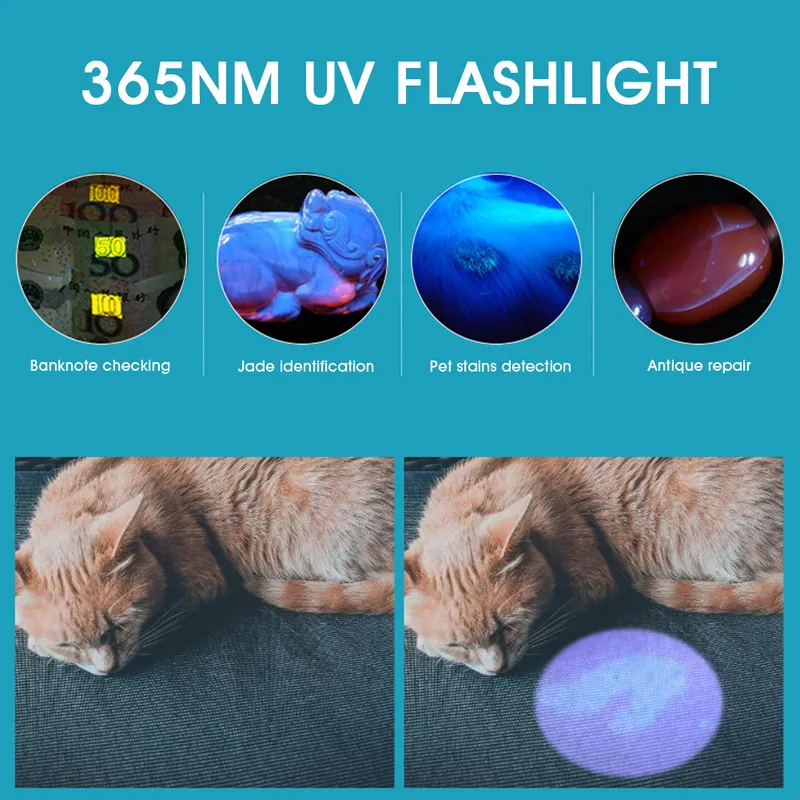 Lanterna UV Luz Preta Recarregável 365nm Tocha Portátil Ultravioleta Portátil Para Detector Para Cão Urina Pet Manchas Bed Bug 2208872736
