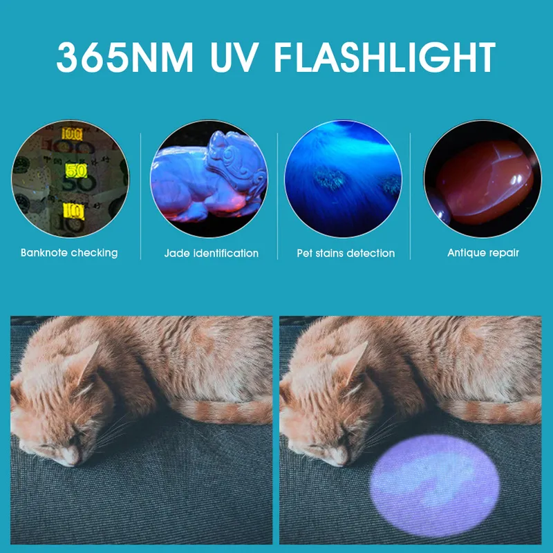 UV Flashlight Black Light Rechargeable 365nm Ultraviolet Handheld Torch Portable For Detector For Dog Urine Pet Stains Bed Bug 220808