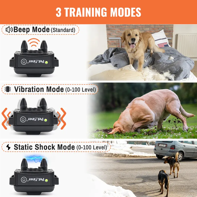 Petrainer 620A-1 Collaggio di addestramento cani elettrici impermeabili e ricaricabili da 300m Collari di allenamento remoto 220524