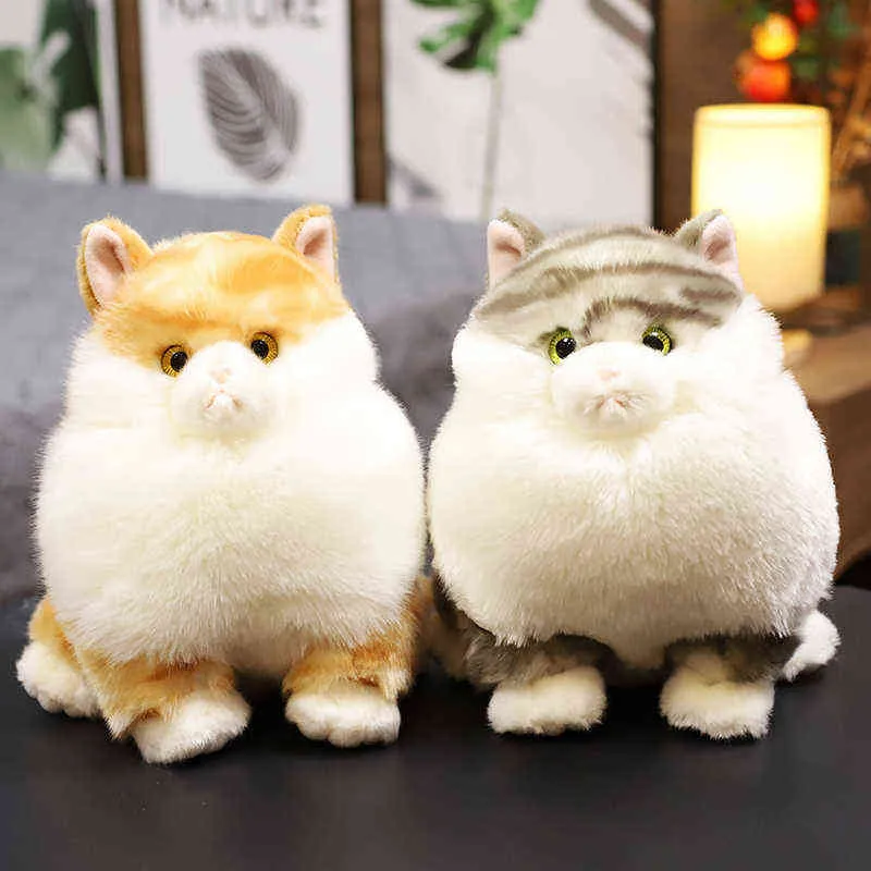 Cm Beautiful Simulation Cat Plush Toys Kawaii Fat Hairy Animal Totoro Plushie Doll Filled Soft For Children Christmas Gift decor J220704