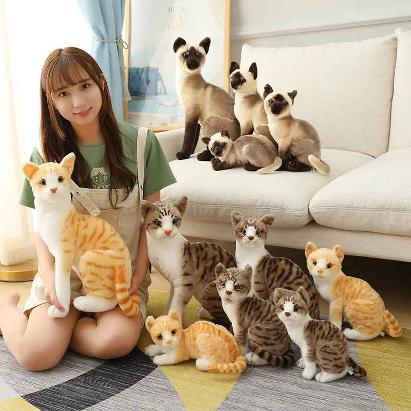 Peluche de chats siamois réalistes, jouet de simulation américain à poils courts, poupée de chat mignon, jouets pour animaux de compagnie, décoration de maison, cadeau pour filles bi, nouvelle collection