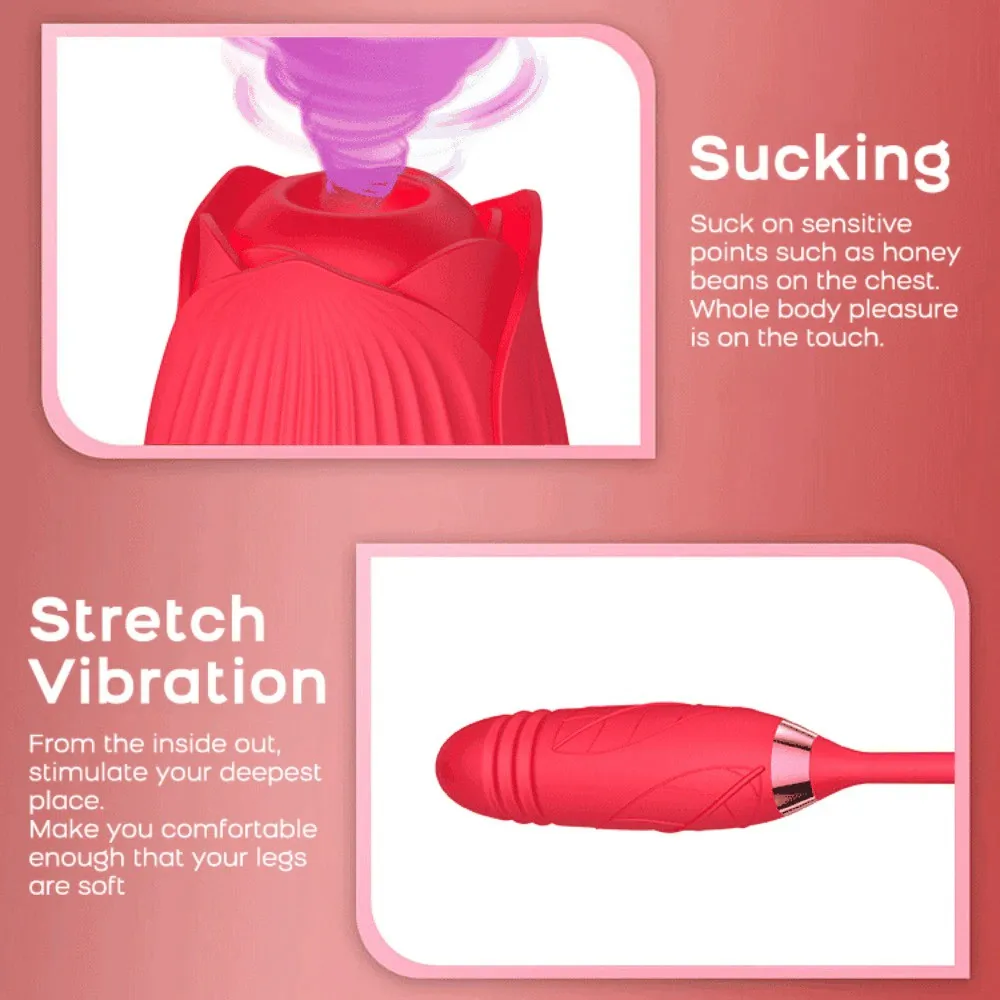 Rose vibrateur mamelon chatte léchage jouet poussée gode Clitoris ventouse Stimulation vagin sexy pour les femmes Masturbation féminine