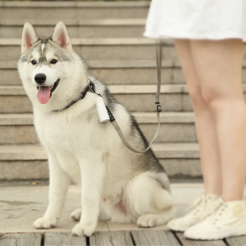 PETKIT 휴대용 애완견 쓰레기 똥 가방 디스펜서 강아지 똥 똥 똥 똥개 깨끗한 분해 가능한 가방은 걷는 공급 220510