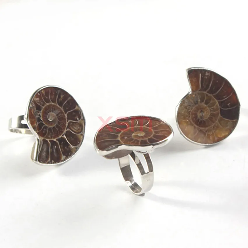 2015 frauen vintage ringe meer schnecke kupfer einstellbar conch muster natürliche fossil conch ring schmuck für männer