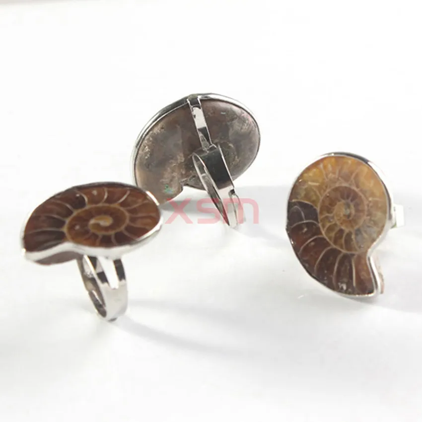 2015 frauen vintage ringe meer schnecke kupfer einstellbar conch muster natürliche fossil conch ring schmuck für männer