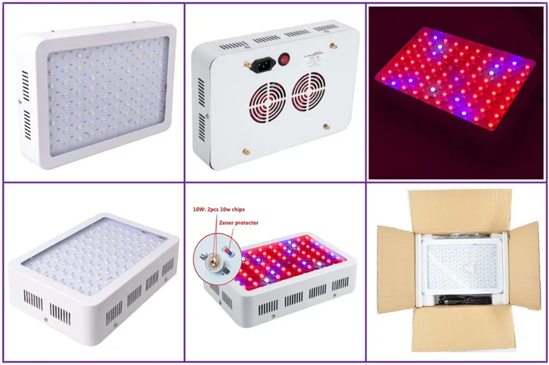 LED Grow Light1000W 1000WフルスペクトルLED Grow Tent Cavere Cavere Greenhouses Lamp Plant Grogh for Veg Floveing1845