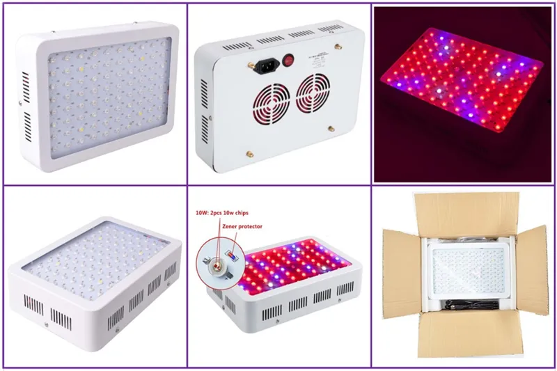 LED LUZ LUZ 1200W 1000W FULLE LED LED GROVA TENCEIRA COBERTA DE GREENHUSIDAS Lâmpadas Lâmpada de cultivo para vegeta