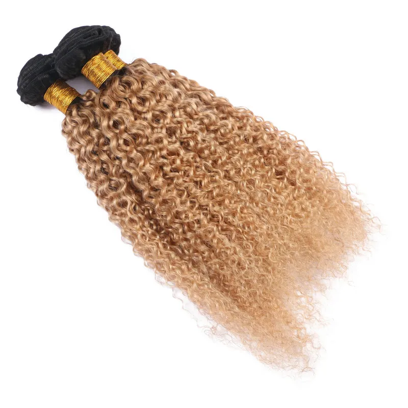 Kinky Curly 1B/27 Honey Blonde Ombre Malaysian Human Hair Wefts Extensions 10-30